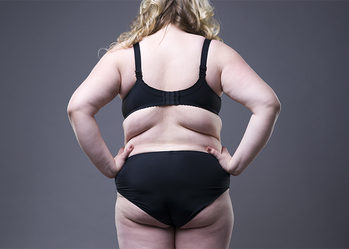腰回りの脂肪 は姿勢が関係している ダイエット法を要チェック ニキビ たるみ しわ しみの肌の悩みならクリニックビザリア銀座 東京